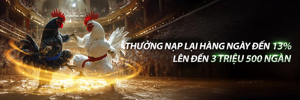 Sòng bạc trực tuyến YG88 nhà cái